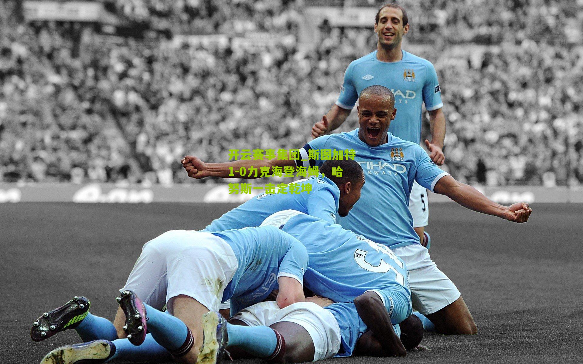 斯图加特1-0力克海登海姆，哈努斯一击定乾坤